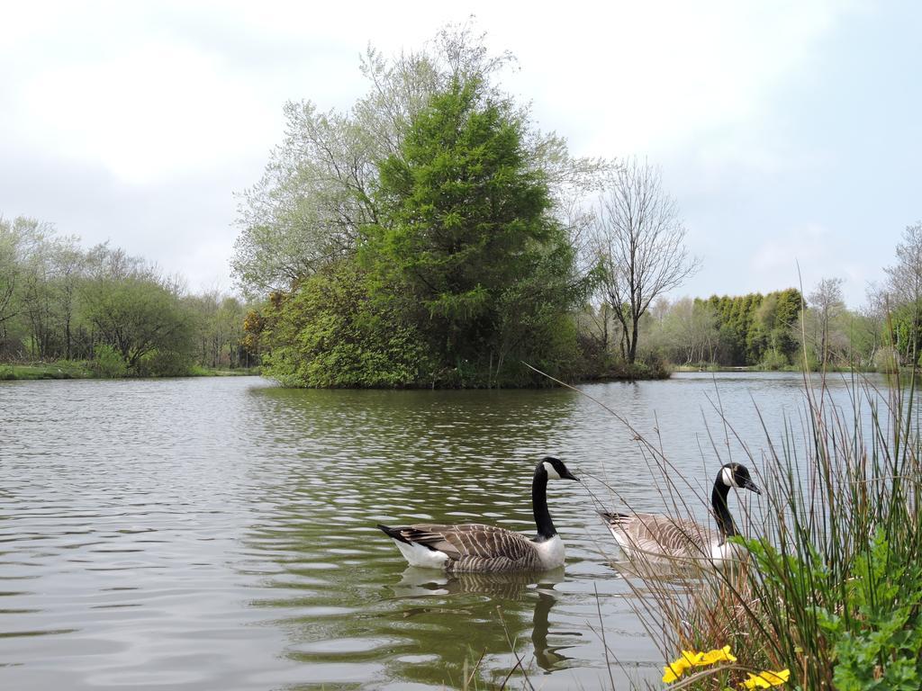 Bodmin Holiday Park Lanivet Zewnętrze zdjęcie